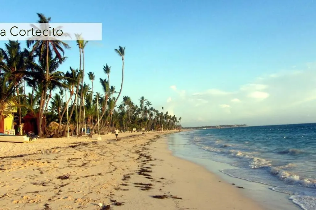 Tropical Caribbean Space With 2 Bedrooms C3 Punta Cana